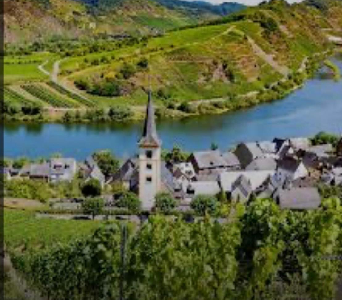 Ferienwohnung Eifel Mosel Hunsrueck Bergweiler Bagian luar foto